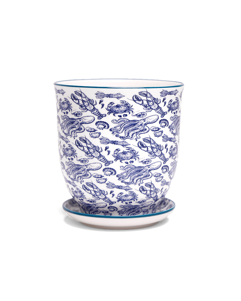 Liberte 5 Porcelain Pot And Saucer With Drainage - Chive US Wholesale