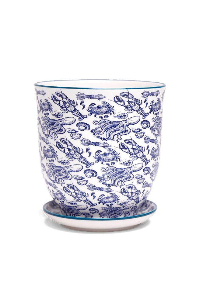 Liberte 5 Porcelain Pot And Saucer With Drainage - Chive US Wholesale