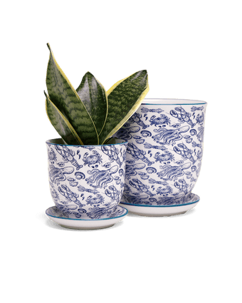 Liberte 5 Porcelain Pot And Saucer With Drainage - Chive US Wholesale