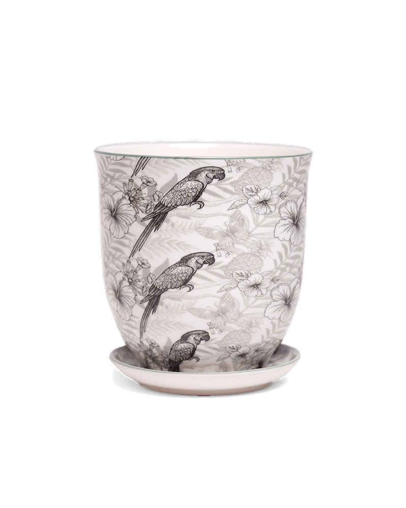 Liberte 5 Porcelain Pot And Saucer With Drainage - Chive US Wholesale