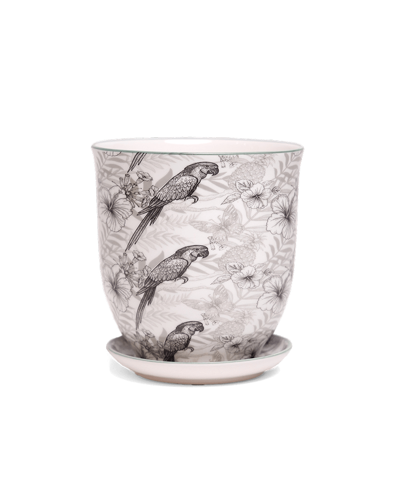 Liberte 5 Porcelain Pot And Saucer With Drainage - Chive US Wholesale