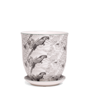Liberte 5 Porcelain Pot And Saucer With Drainage - Chive US Wholesale