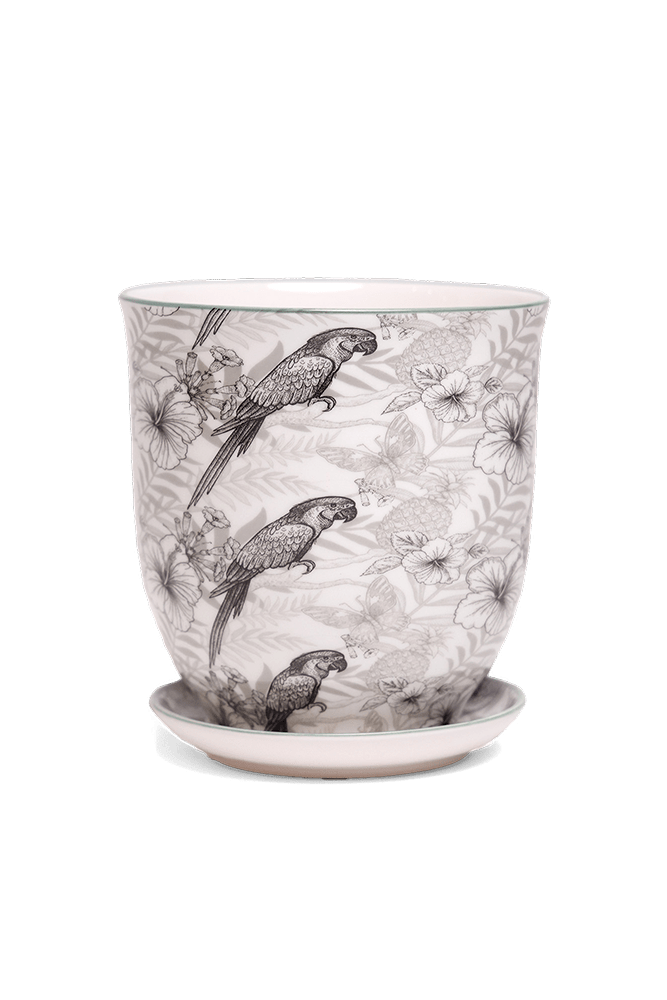 Liberte 5 Porcelain Pot And Saucer With Drainage - Chive US Wholesale