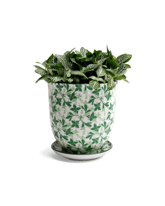 Liberte Porcelain Pot And Saucer Set With Drainage - Chive US Wholesale