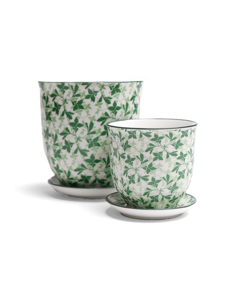 Liberte Porcelain Pot And Saucer Set With Drainage - Chive US Wholesale