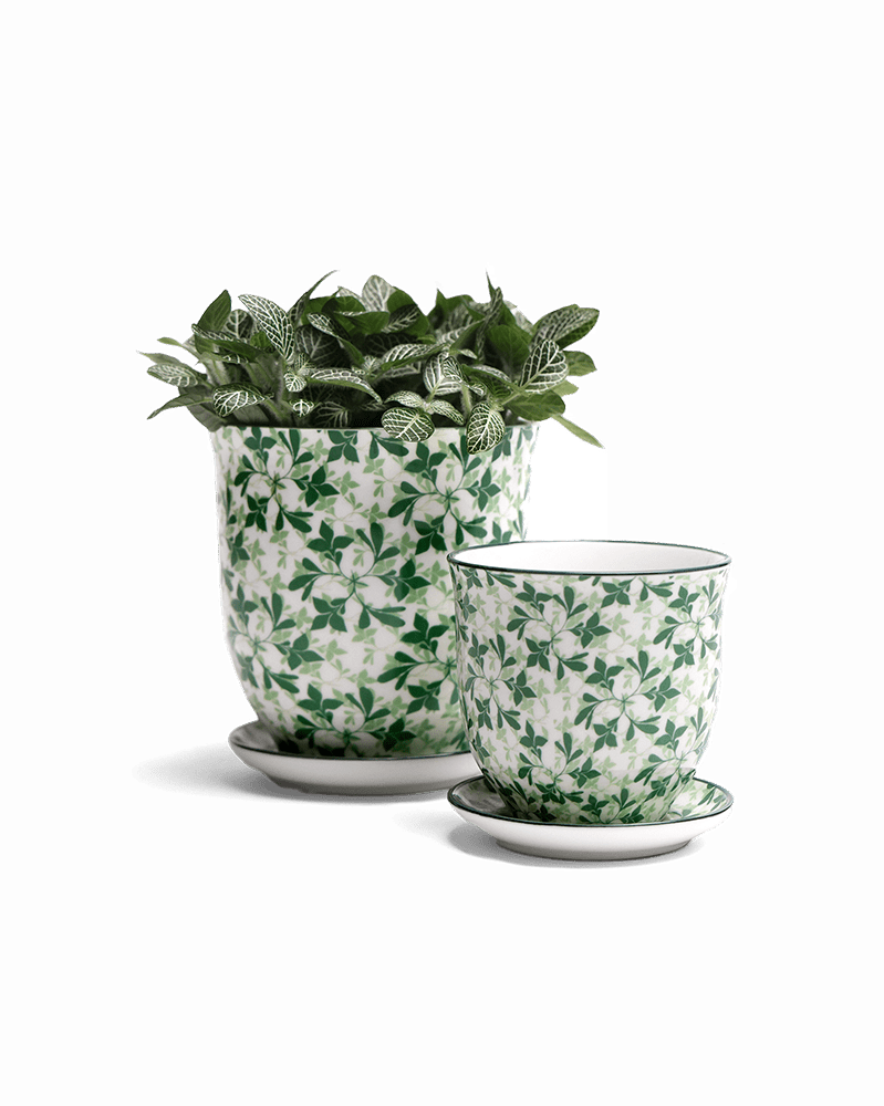 Liberte Porcelain Pot And Saucer Set With Drainage - Chive US Wholesale
