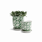 Liberte Porcelain Pot And Saucer Set With Drainage - Chive US Wholesale