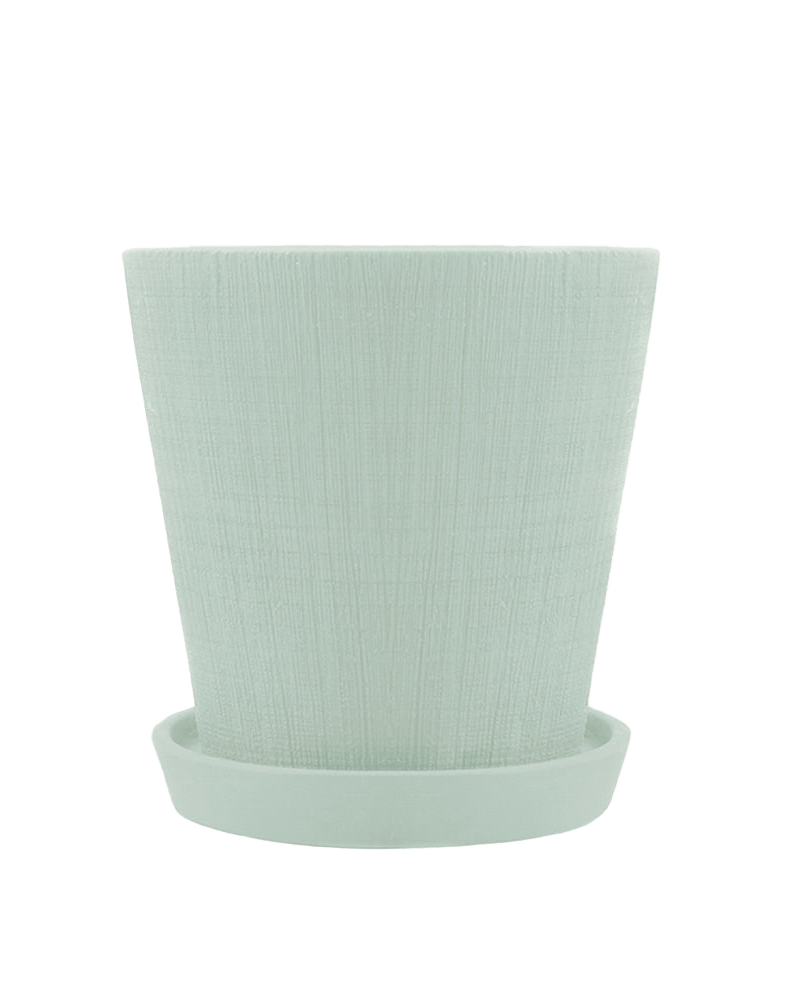 Mick Pot And Saucer 48pc Kit - Small - Chive US Wholesale