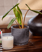 Paul Ceramic Pot And Saucer Set With Drainage - Chive US Wholesale