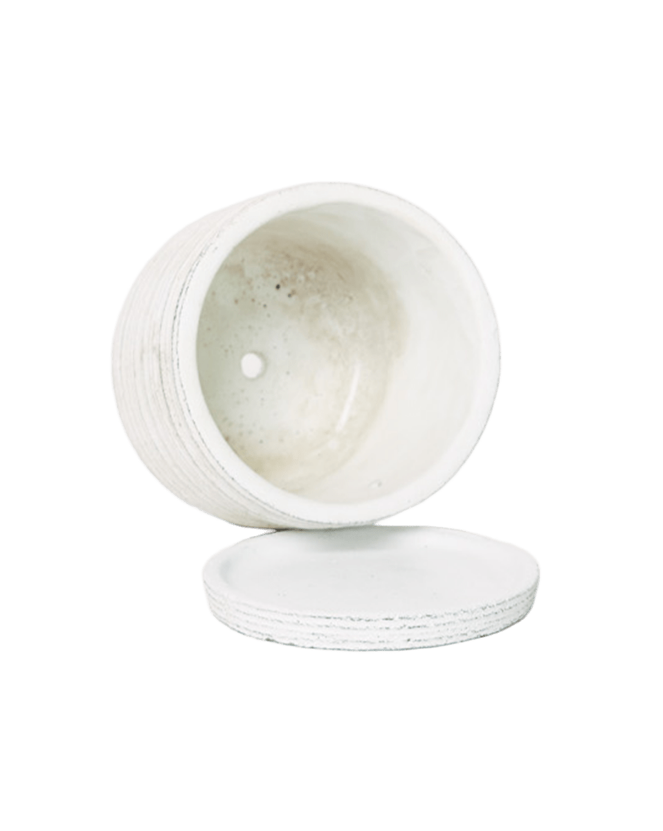 Paul Ceramic Pot And Saucer Set With Drainage - Chive US Wholesale