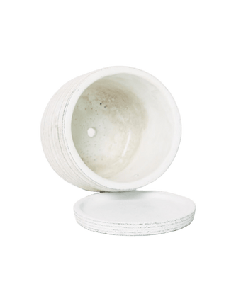 Paul Ceramic Pot And Saucer Set With Drainage - Chive US Wholesale