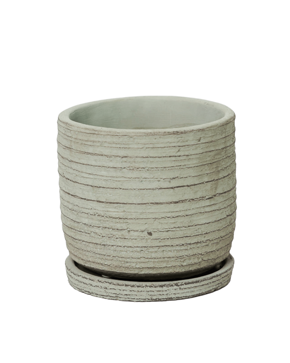 Paul Ceramic Pot And Saucer Set With Drainage - Chive US Wholesale