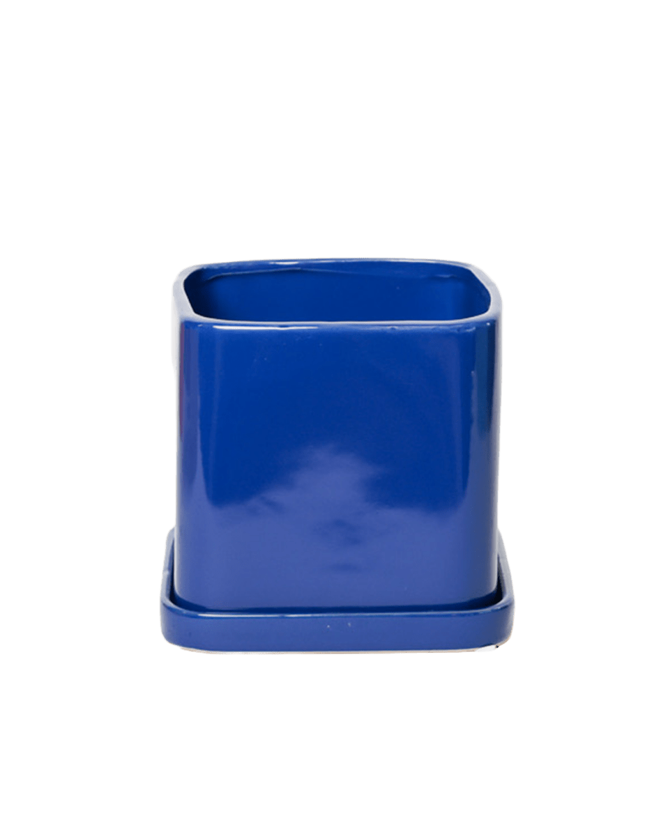Svek Ceramic Pot And Saucer With Drainage Hole - Chive US Wholesale