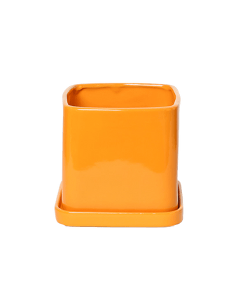 Svek Ceramic Pot And Saucer With Drainage Hole - Chive US Wholesale