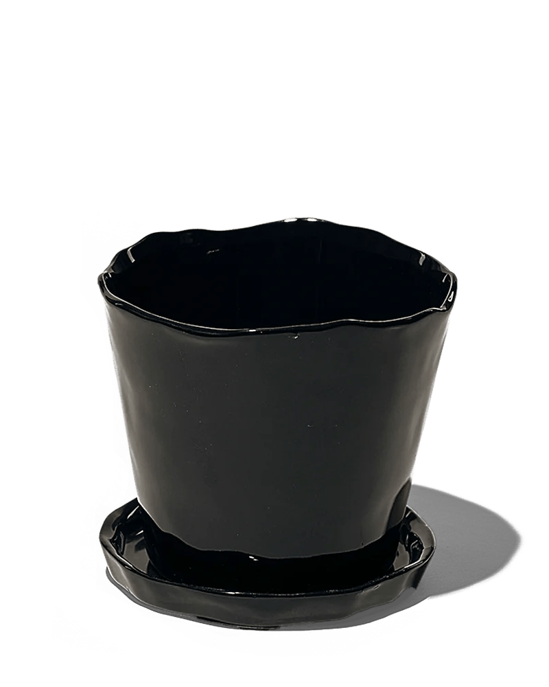 Tika Pot & Saucer 48pc Kit - Large - Chive US Wholesale