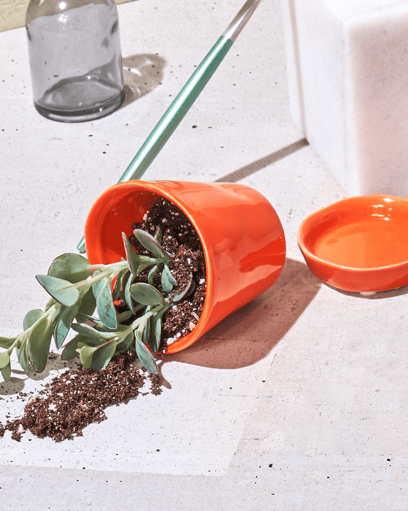 Tika Ceramic Pot & Saucer Set With Drainage - Chive US Wholesale