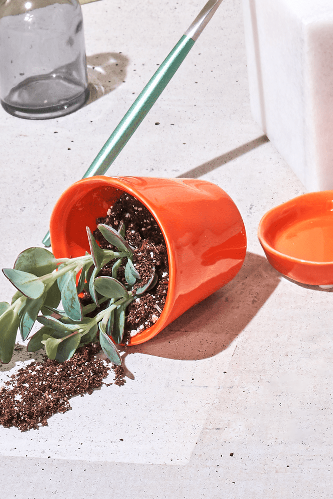 Tika Ceramic Pot & Saucer Set With Drainage - Chive US Wholesale