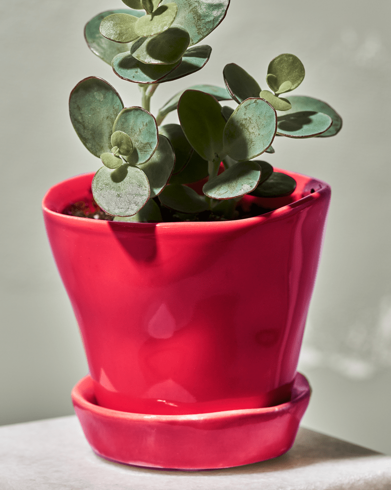 Tika Ceramic Pot & Saucer Set With Drainage - Chive US Wholesale