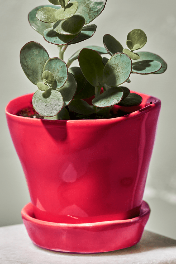 Tika Ceramic Pot & Saucer Set With Drainage - Chive US Wholesale