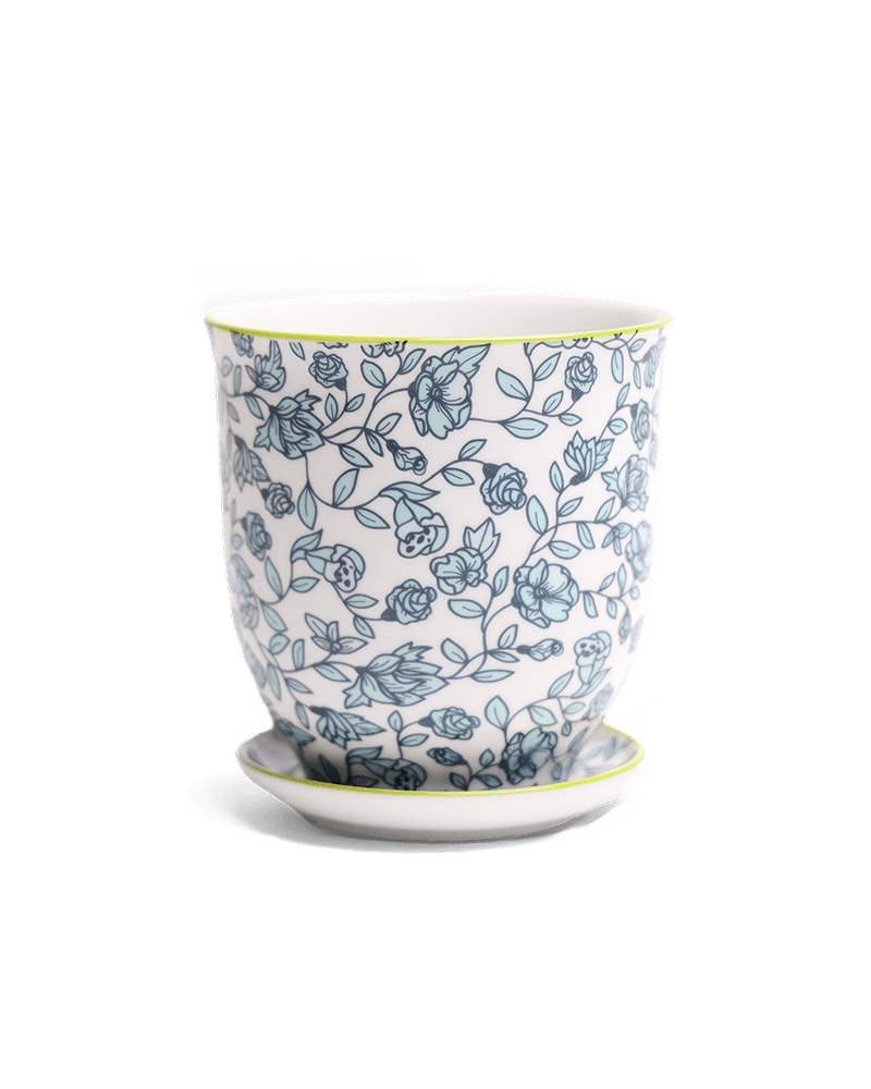 Liberte Porcelain Pot And Saucer Set With Drainage - Chive US Wholesale