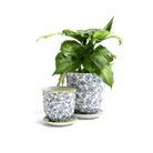 Liberte Porcelain Pot And Saucer Set With Drainage - Chive US Wholesale