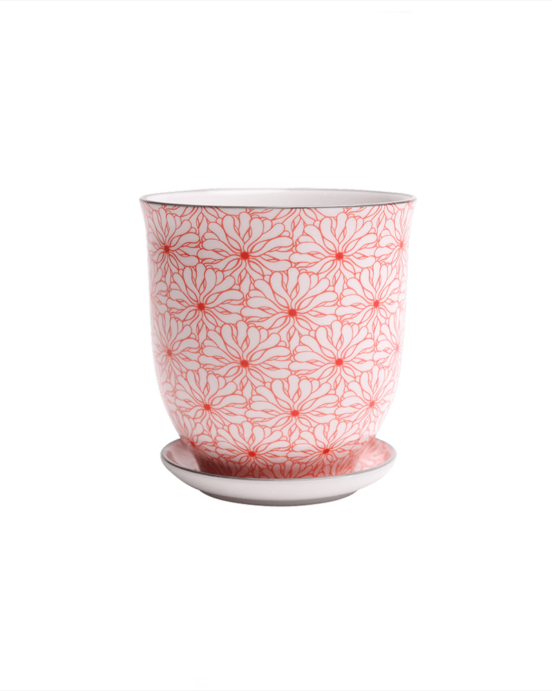 Liberte Porcelain Pot And Saucer Set With Drainage - Chive US Wholesale