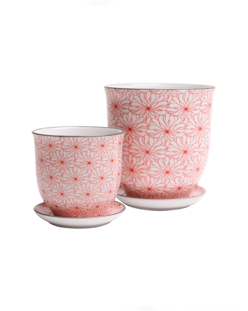 Liberte Porcelain Pot And Saucer Set With Drainage - Chive US Wholesale