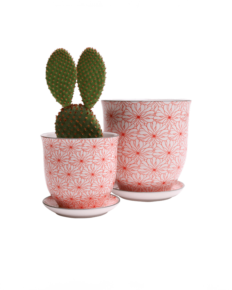 Liberte Porcelain Pot And Saucer Set With Drainage - Chive US Wholesale