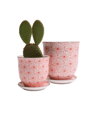 Liberte Porcelain Pot And Saucer Set With Drainage - Chive US Wholesale