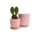 Liberte Porcelain Pot And Saucer Set With Drainage - Chive US Wholesale