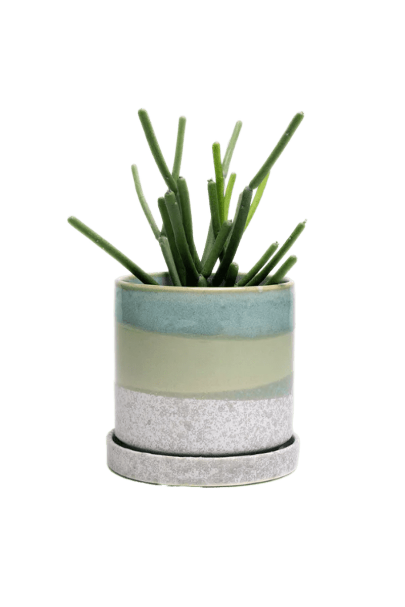 Minute Ceramic Pot And Saucer With Drainage Kit - Chive US Wholesale