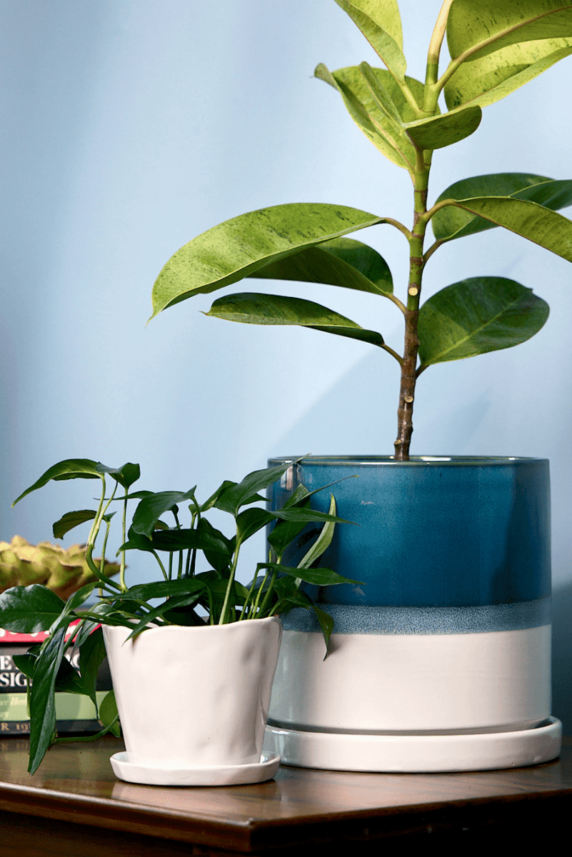 Minute Ceramic Pot And Saucer With Drainage Kit - Chive US Wholesale