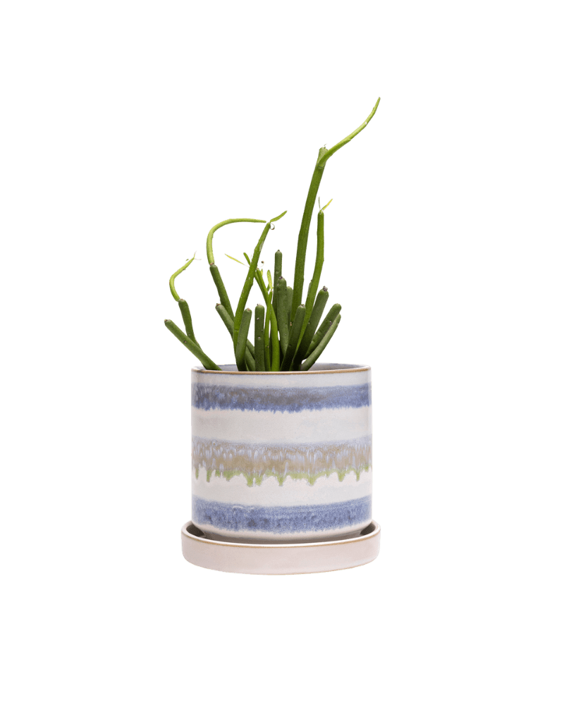 Minute Ceramic Pot And Saucer Set With Drainage - Chive US Wholesale