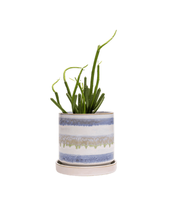 Minute Ceramic Pot And Saucer Set With Drainage - Chive US Wholesale