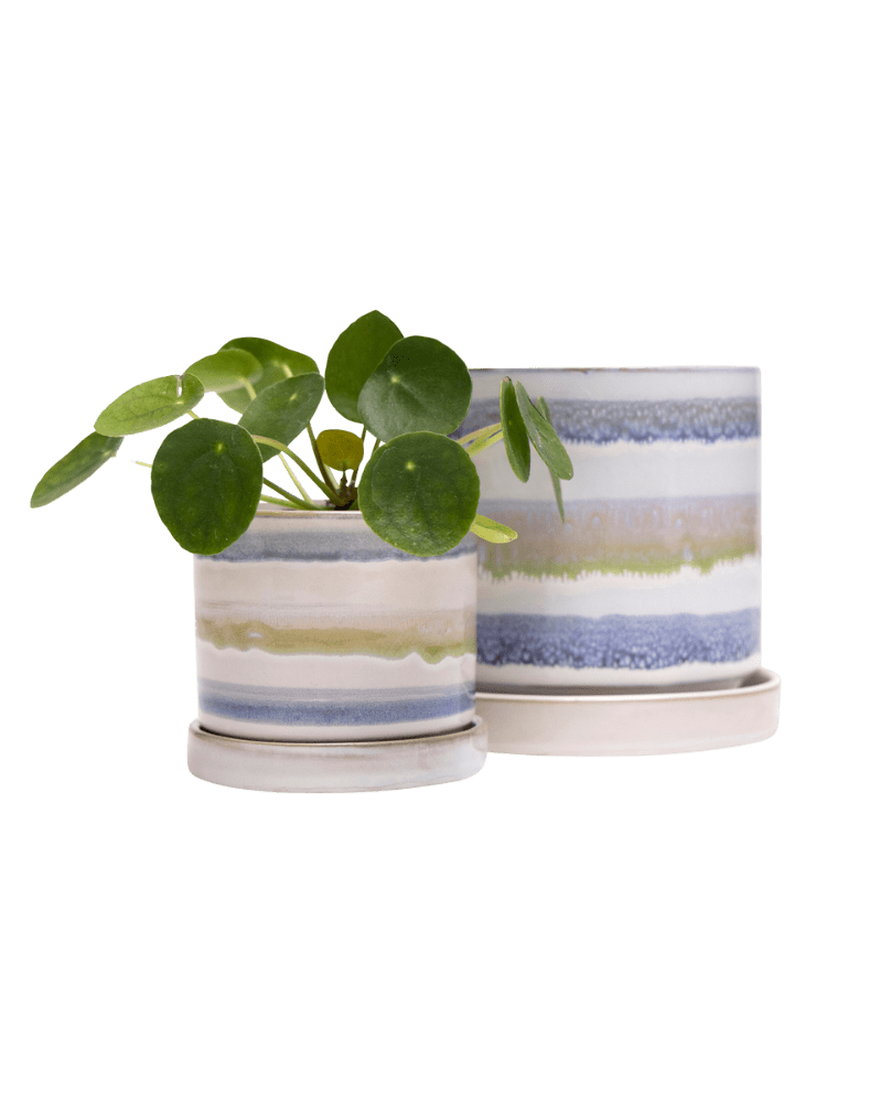 Minute Ceramic Pot And Saucer Set With Drainage - Chive US Wholesale