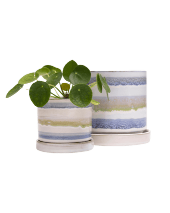 Minute Ceramic Pot And Saucer Set With Drainage - Chive US Wholesale