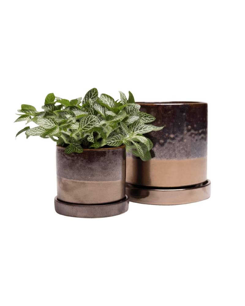 Minute Ceramic Pot And Saucer Set With Drainage - Chive US Wholesale