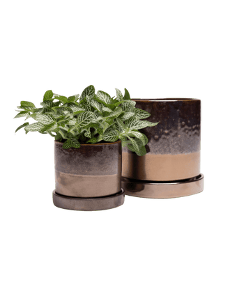Minute Ceramic Pot And Saucer Set With Drainage - Chive US Wholesale
