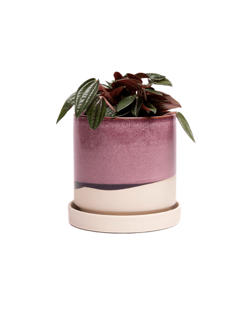 Minute Ceramic Pot And Saucer Set With Drainage - Chive US Wholesale