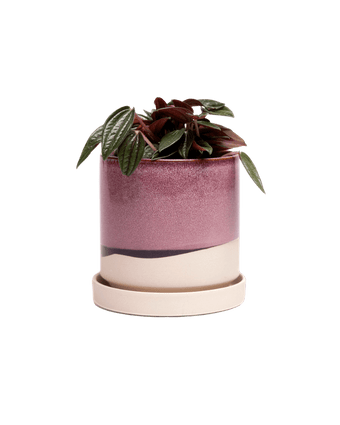 Minute Ceramic Pot And Saucer Set With Drainage - Chive US Wholesale