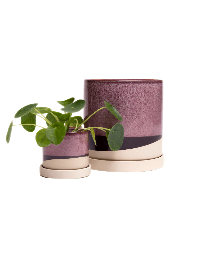 Minute Ceramic Pot And Saucer Set With Drainage - Chive US Wholesale