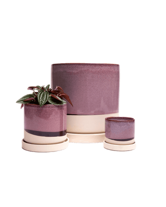 Minute Ceramic Pot And Saucer Set With Drainage - Chive US Wholesale