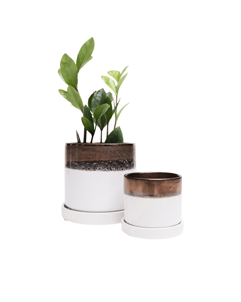 Minute Ceramic Pot And Saucer Set With Drainage - Chive US Wholesale