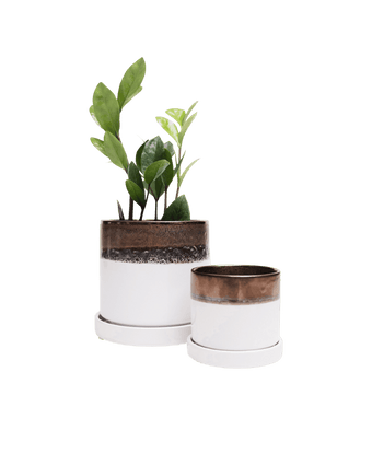 Minute Ceramic Pot And Saucer Set With Drainage - Chive US Wholesale