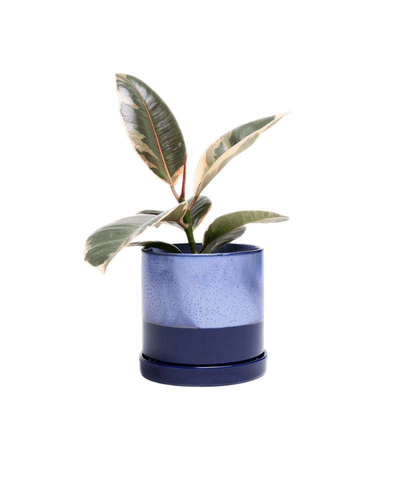 Minute Ceramic Pot And Saucer Set With Drainage - Chive US Wholesale