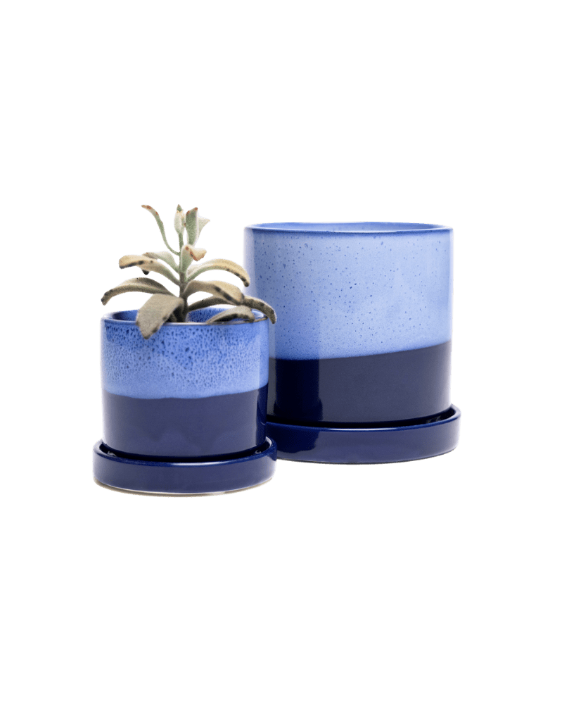 Minute Ceramic Pot And Saucer Set With Drainage - Chive US Wholesale