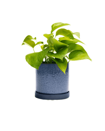 Minute Ceramic Pot And Saucer Set With Drainage - Chive US Wholesale