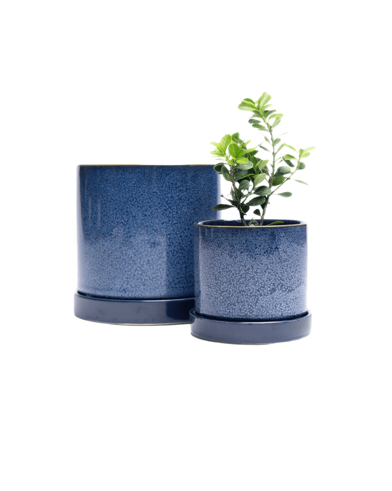 Minute Ceramic Pot And Saucer Set With Drainage - Chive US Wholesale