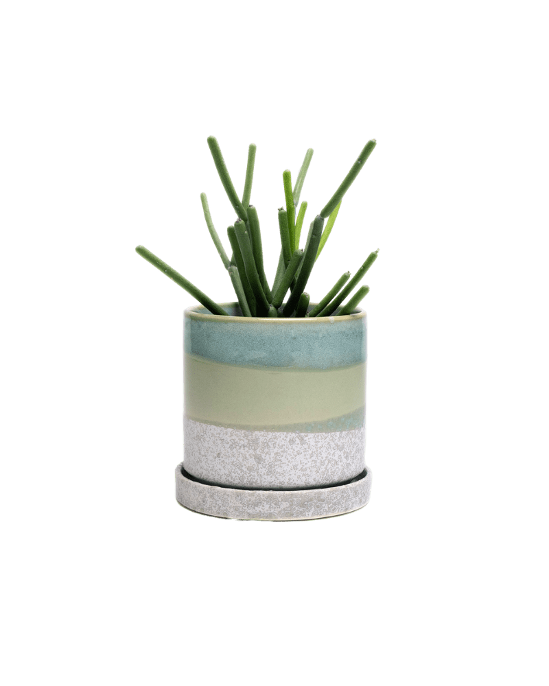 Minute Ceramic Pot And Saucer Set With Drainage - Chive US Wholesale