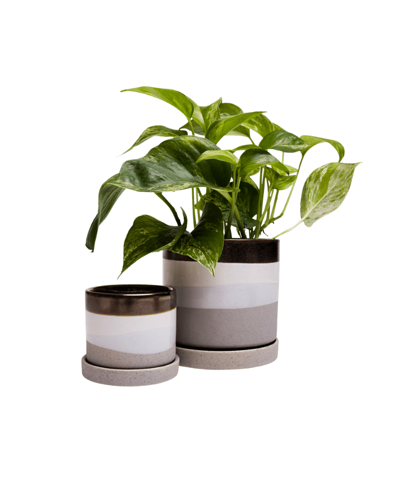 Minute Ceramic Pot And Saucer Set With Drainage - Chive US Wholesale